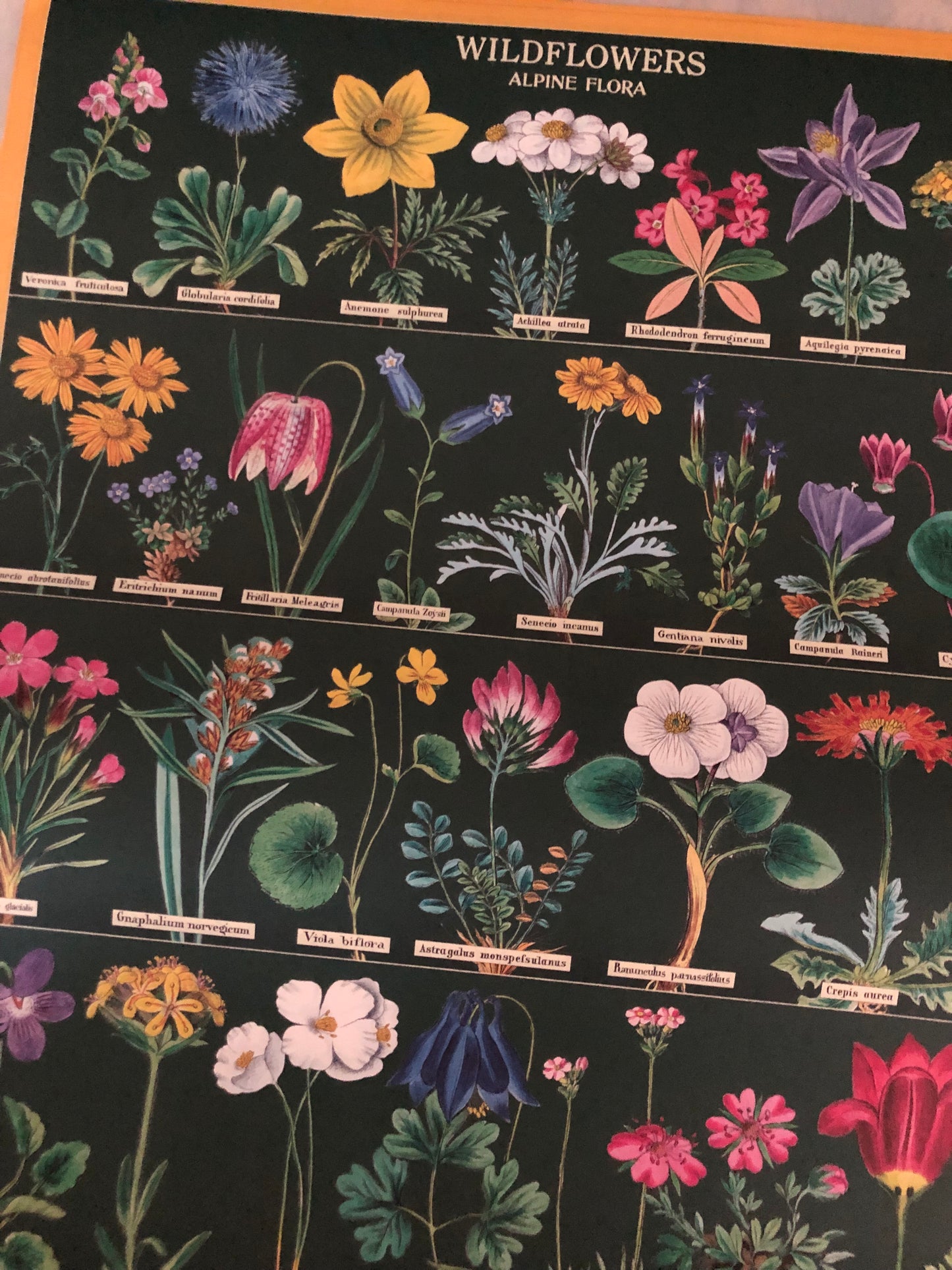 Wildflowers Poster Green Wall Hanging