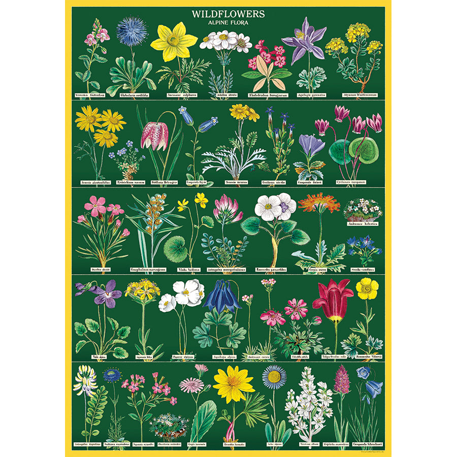 Wildflowers Poster Green Wall Hanging