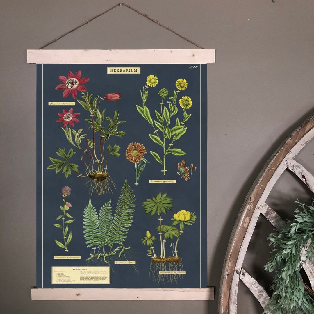Herbarium Wall Print