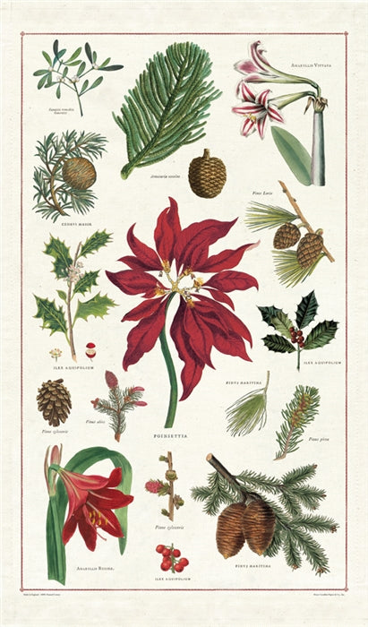 Poinsettia Kitchen Towel