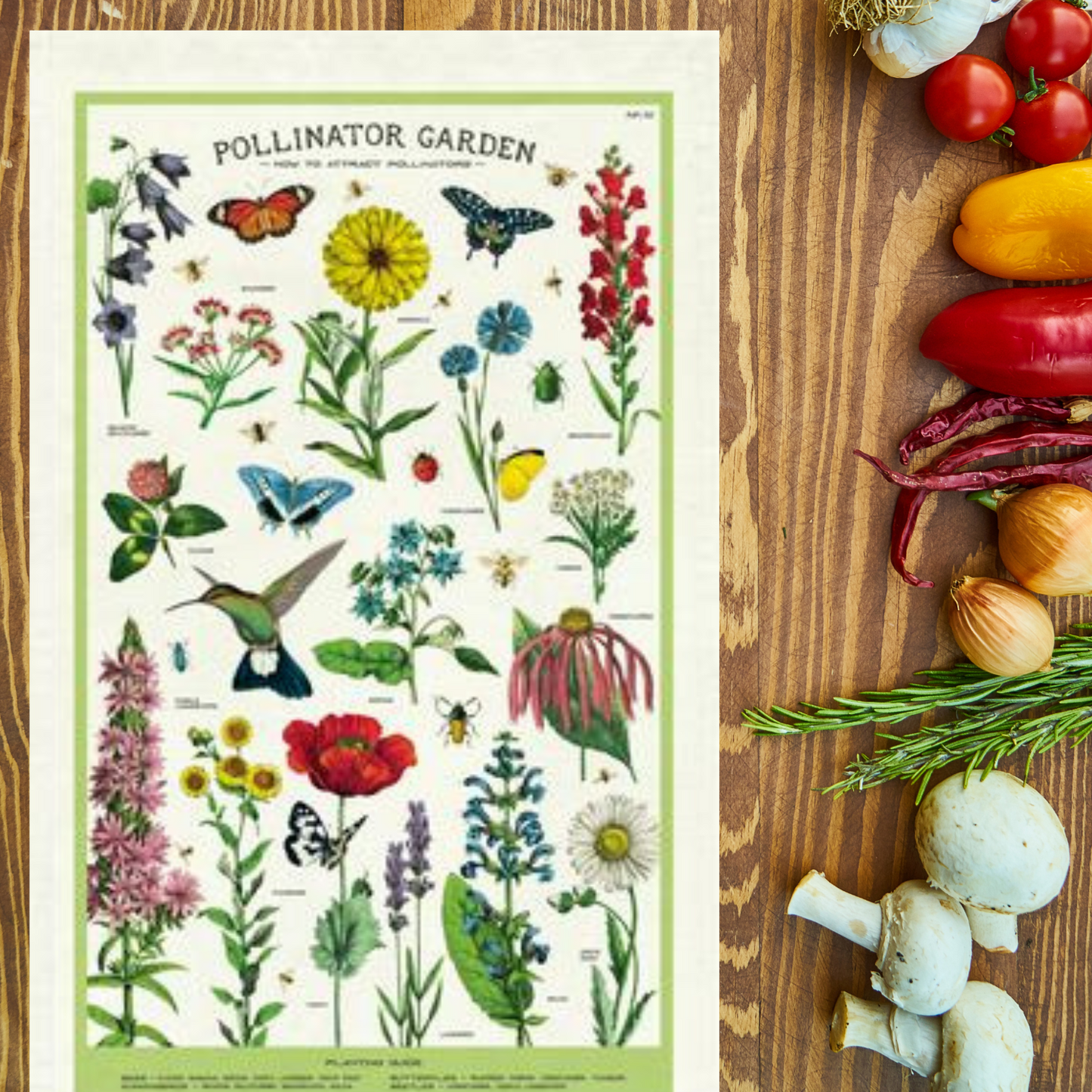 Pollinator Kitchen Towel