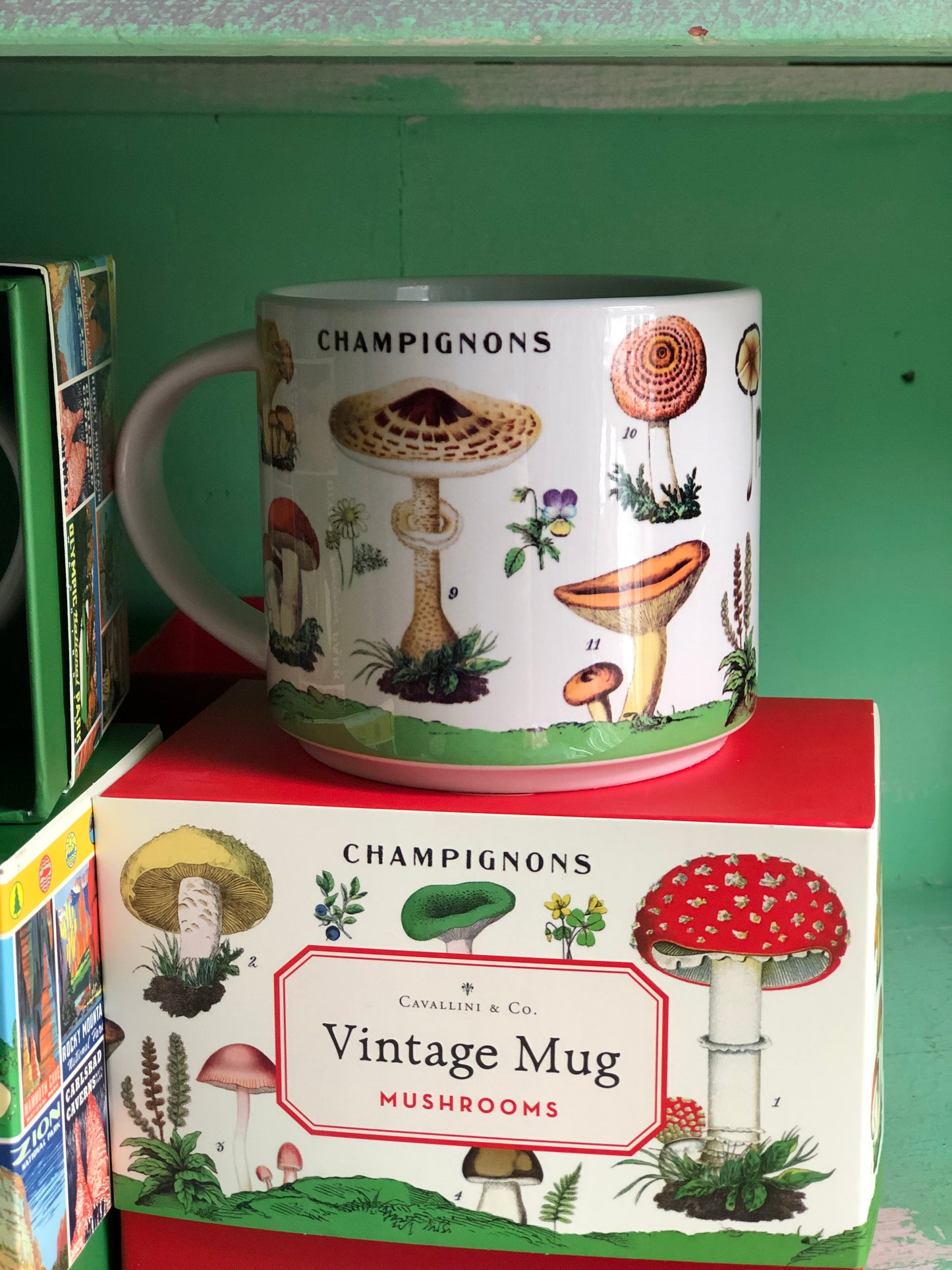 Mushroom Mug