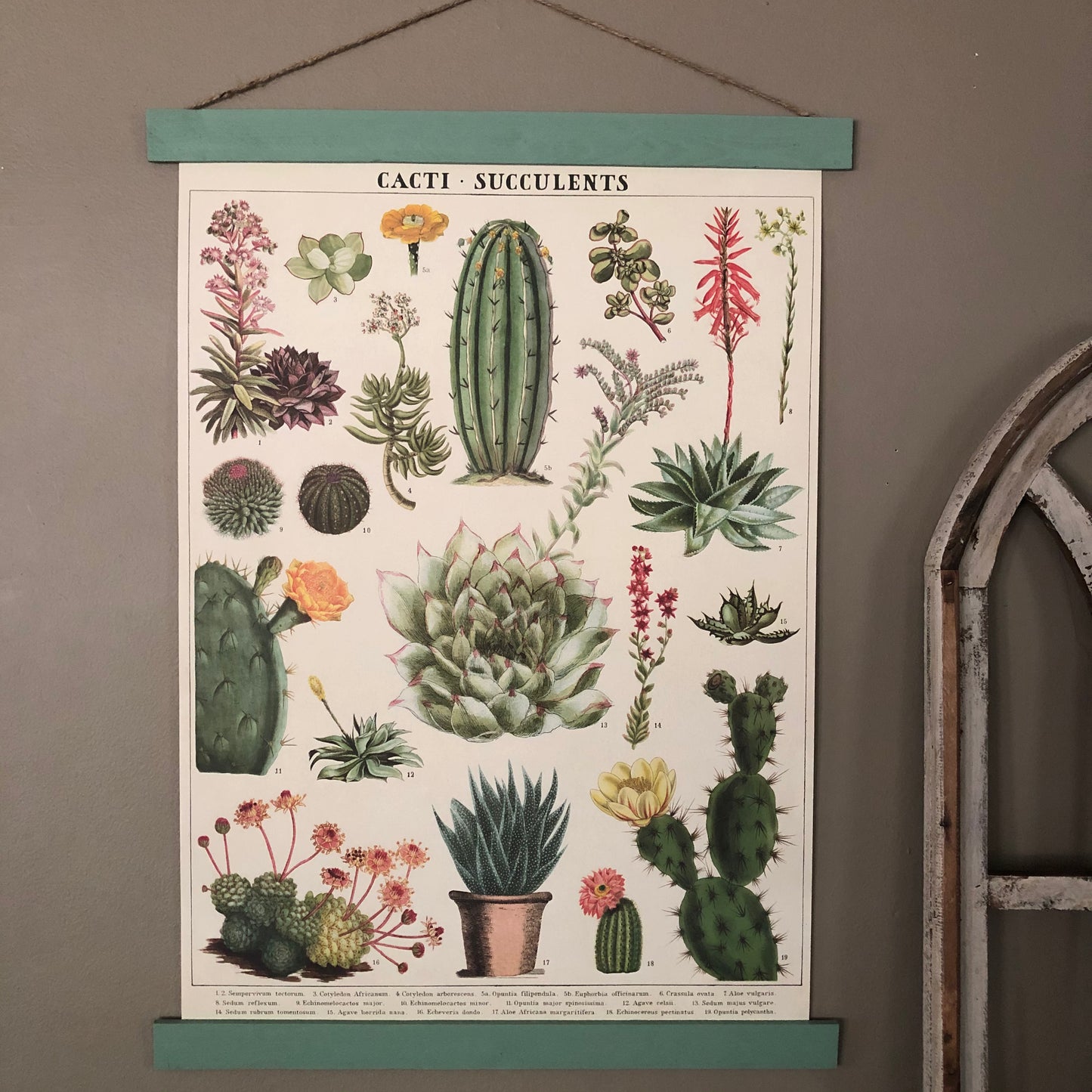 Cacti and Succulents Poster Wall Hanging