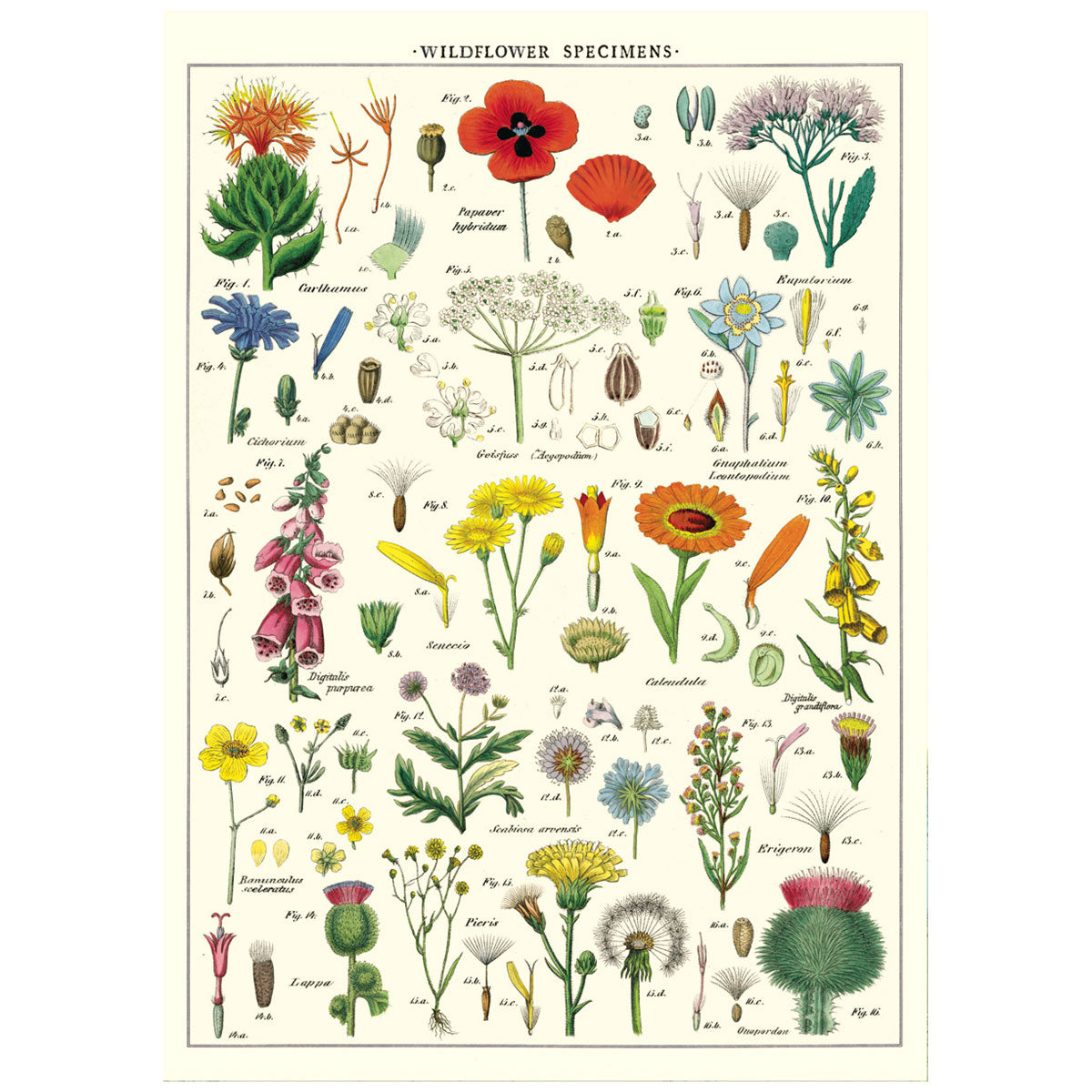 Wildflowers Poster Wall Hanging