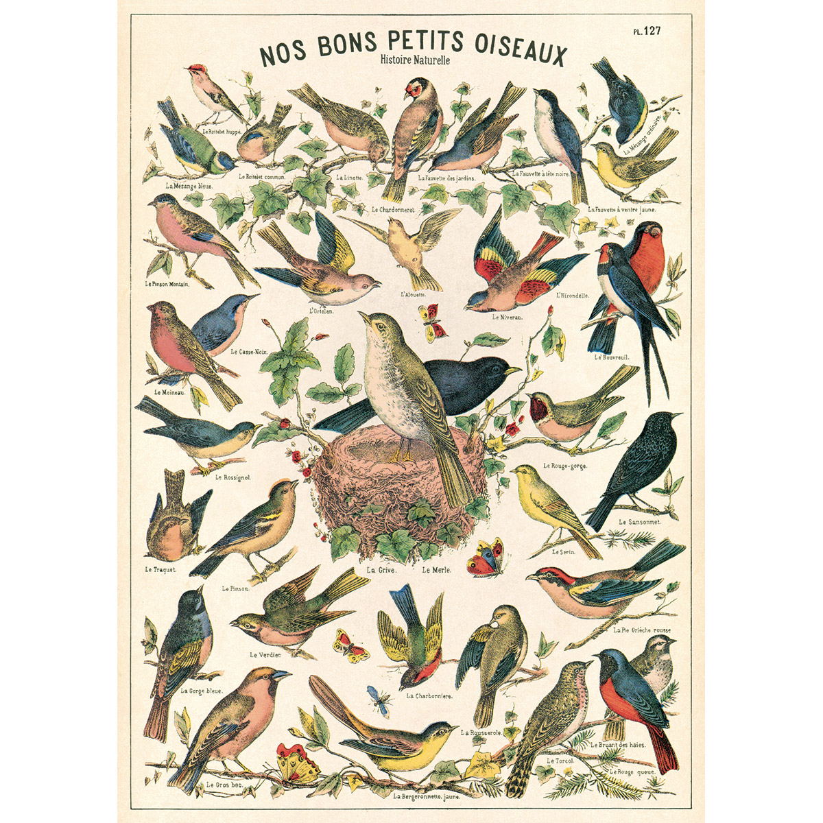 Bird Series Poster Wall Hanging