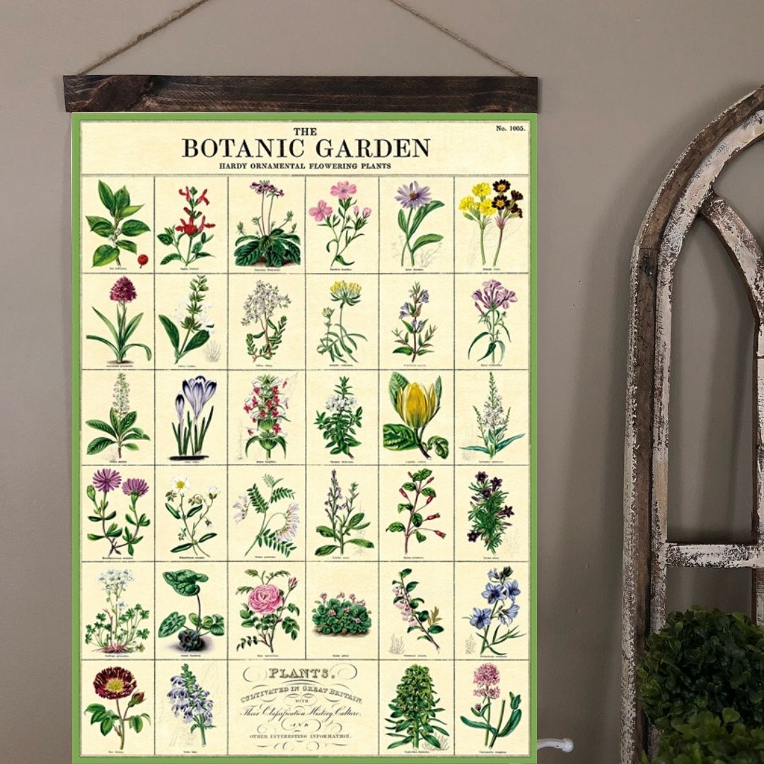 Botanic Garden Poster