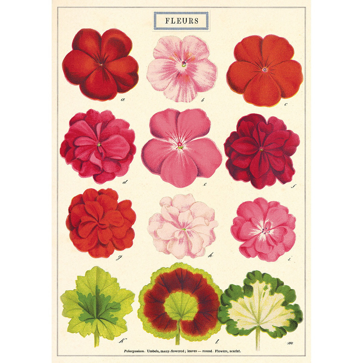 Flower Series Poster Wall Hanging