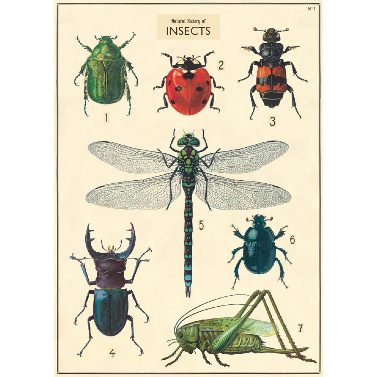 Insect Series Poster Wall Hanging