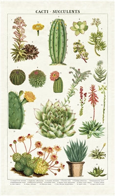 Succulent Kitchen Towel