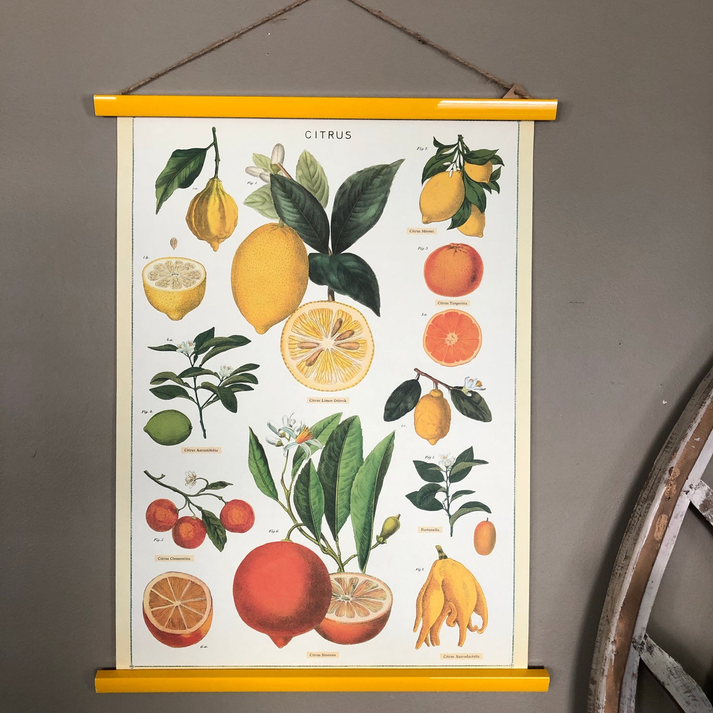 Wood Hanger