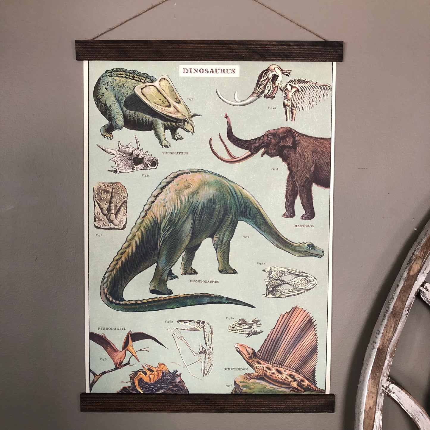 Dinosaur Poster Wall Hanging