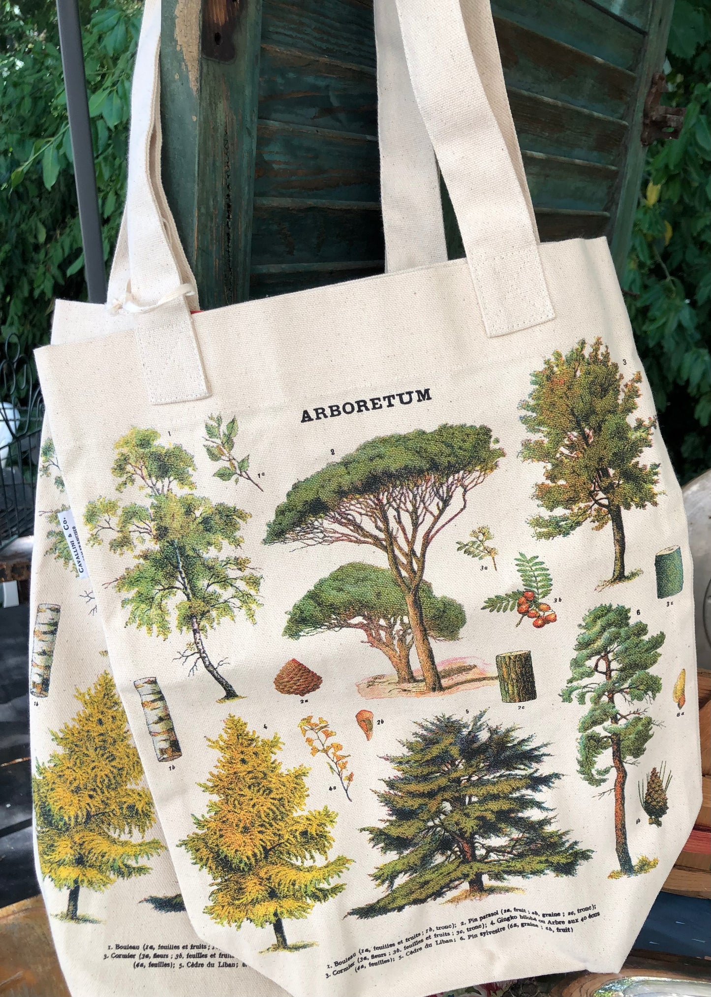 Arboretum Trees Tote Bag