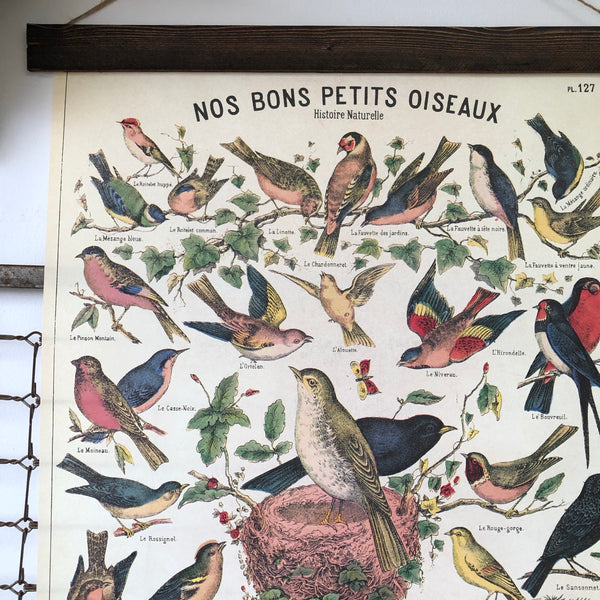 Bird Series Poster Wall Hanging