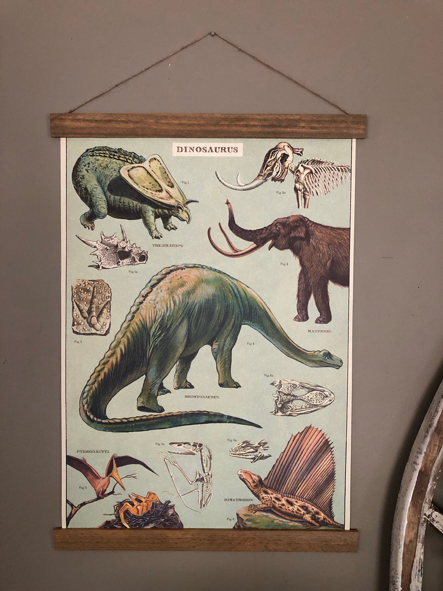 Dinosaur Poster Wall Hanging