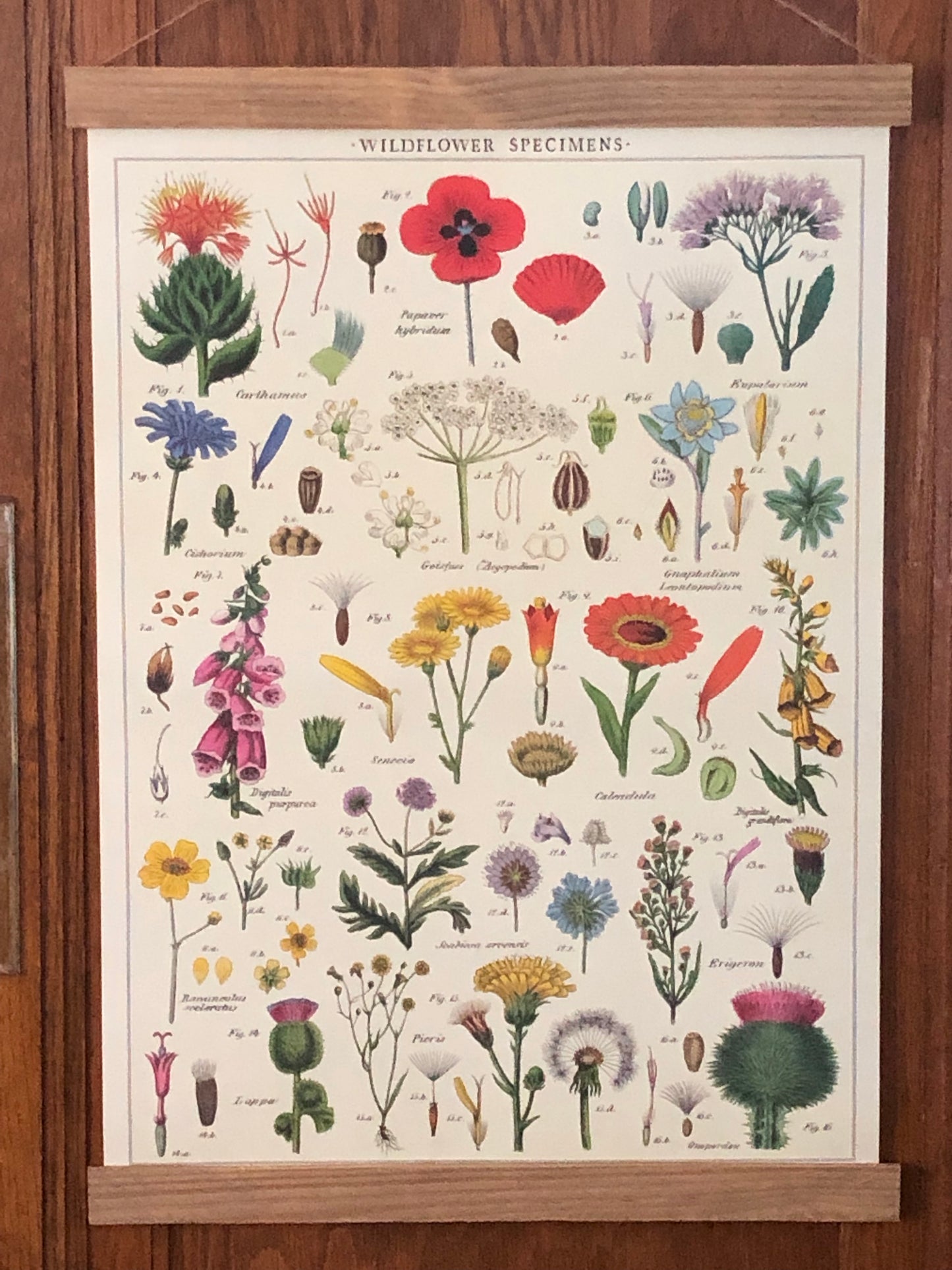 Wildflowers Poster Wall Hanging