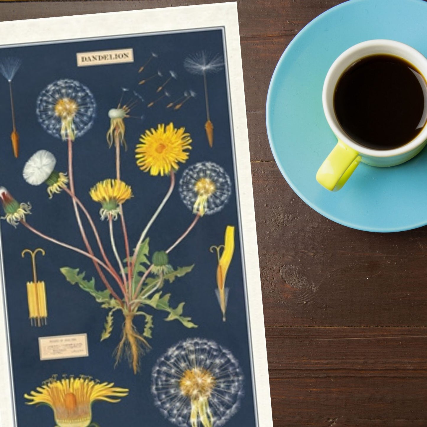 Dandelion Kitchen Towel