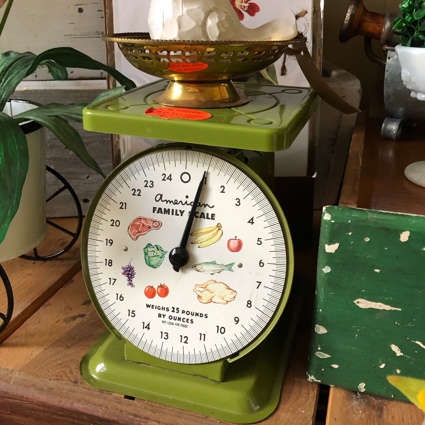 Vintage American Family Scale