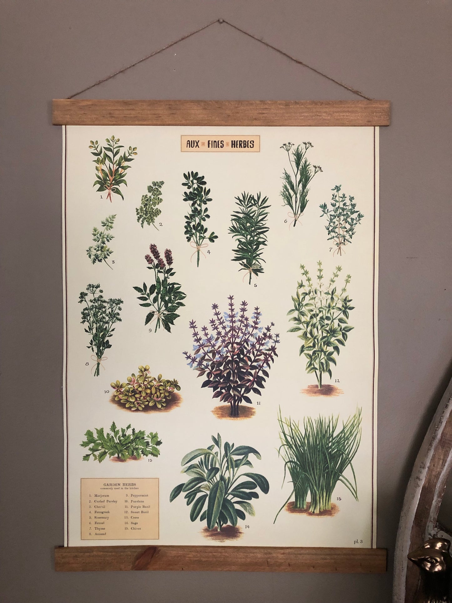 Herbs Poster Wall Hanging