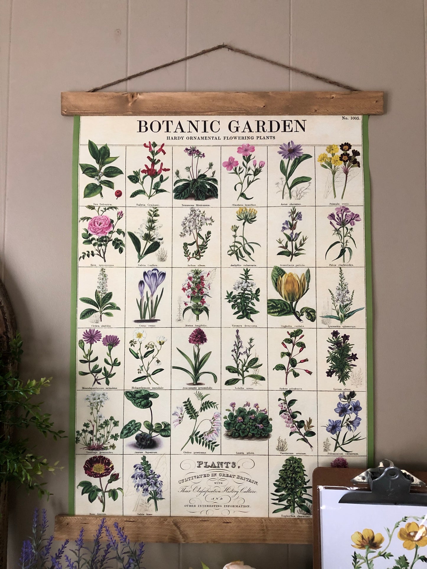 Botanic Garden Poster