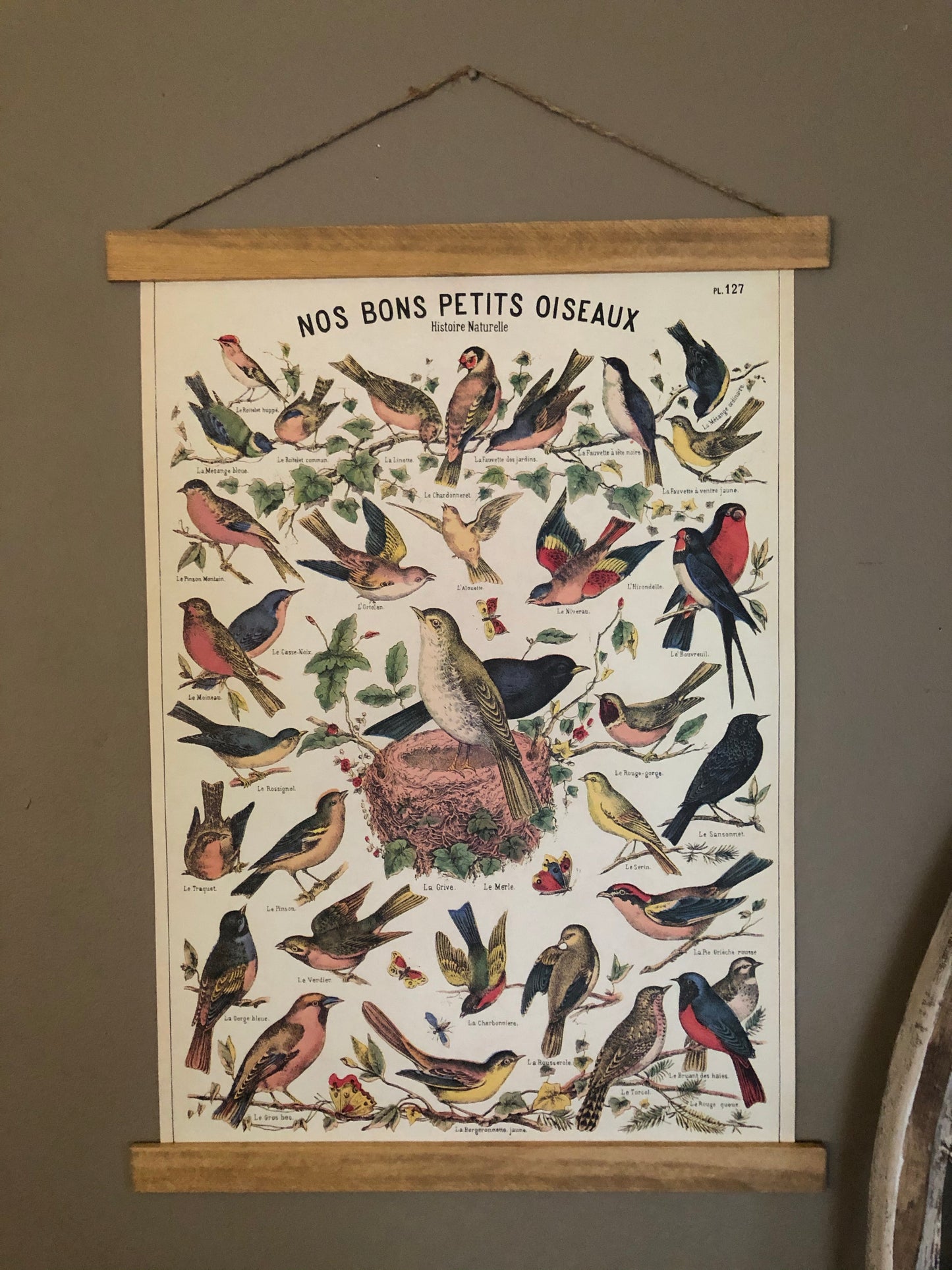 Bird Series Poster Wall Hanging