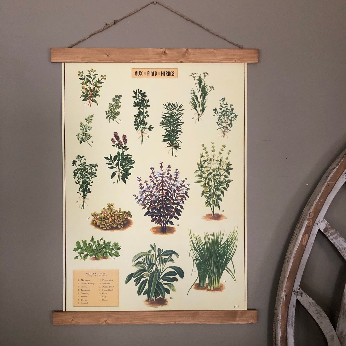 Herbs Poster Wall Hanging