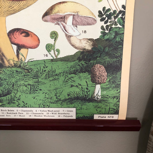 Foraging Wall Print