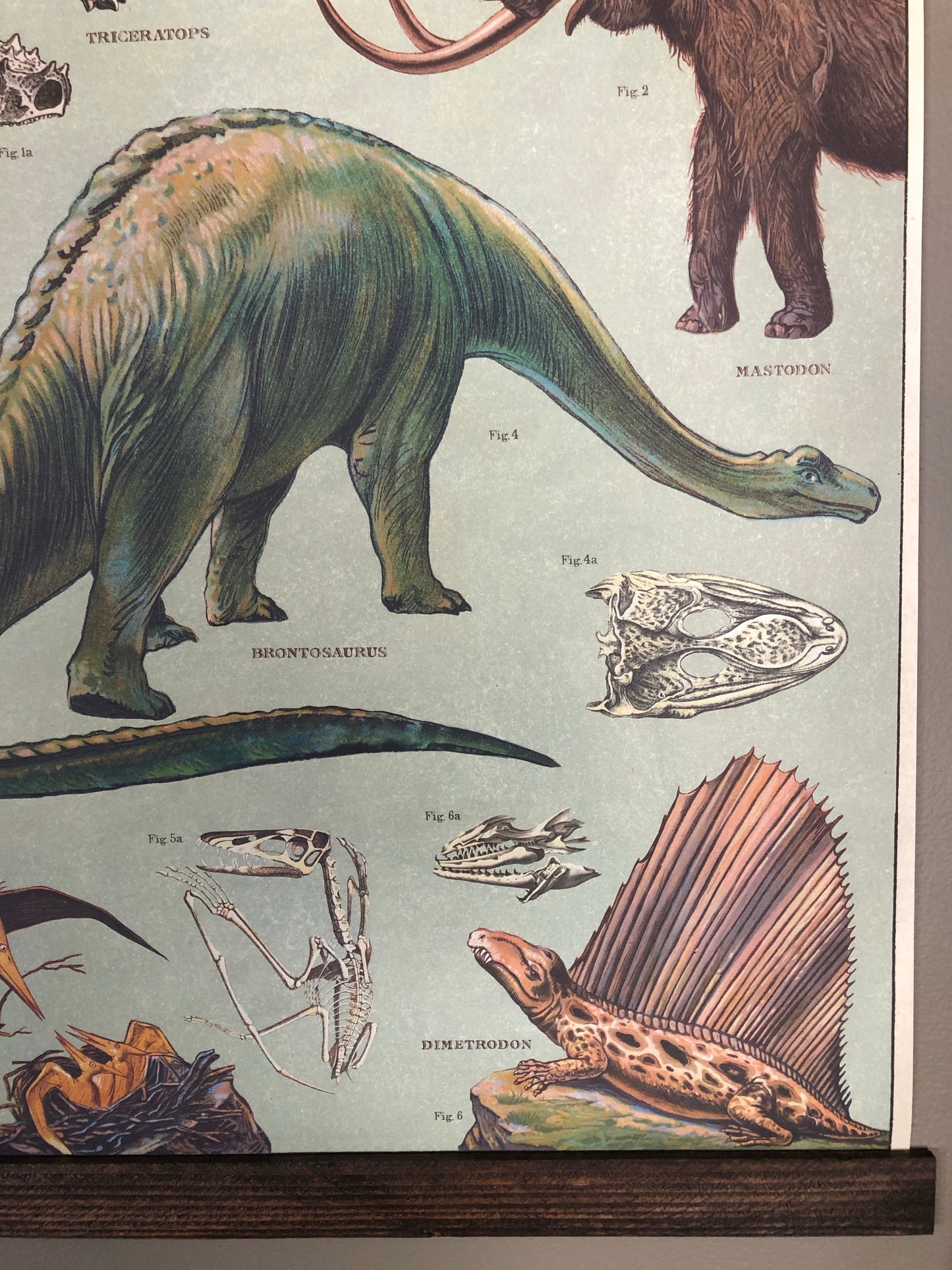 Dinosaur Poster Wall Hanging