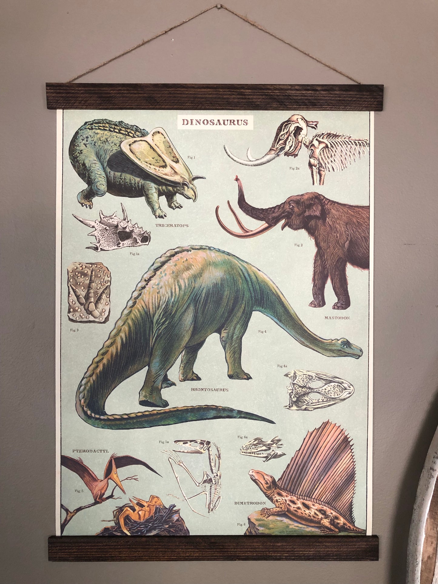 Dinosaur Poster Wall Hanging