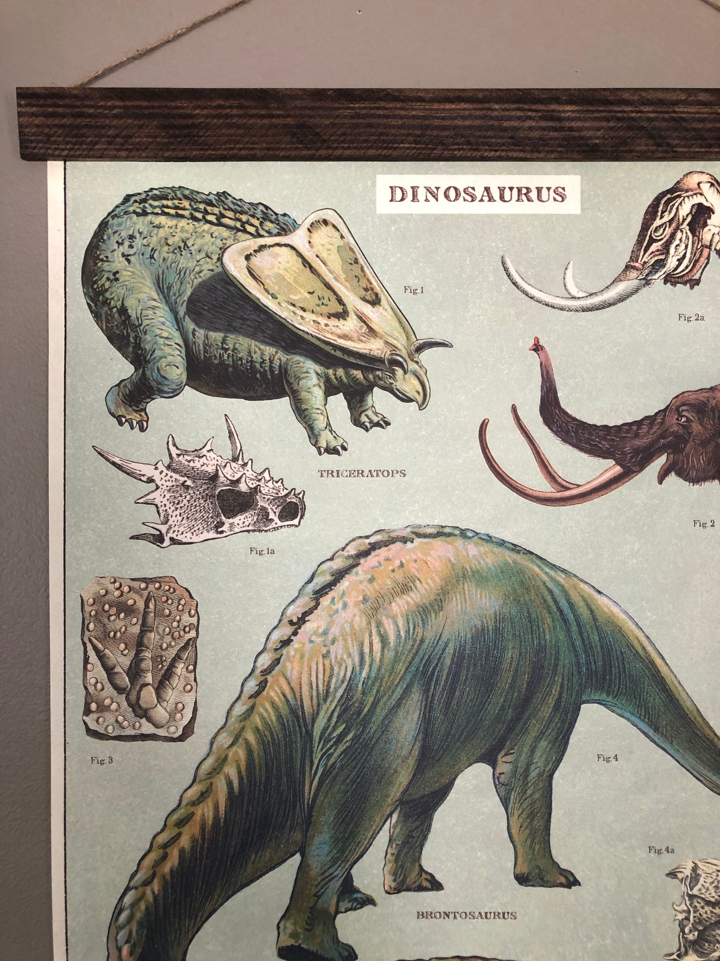 Dinosaur Poster Wall Hanging