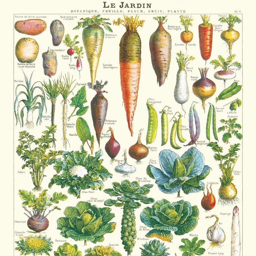 Le Jardin Vegetable School Chart