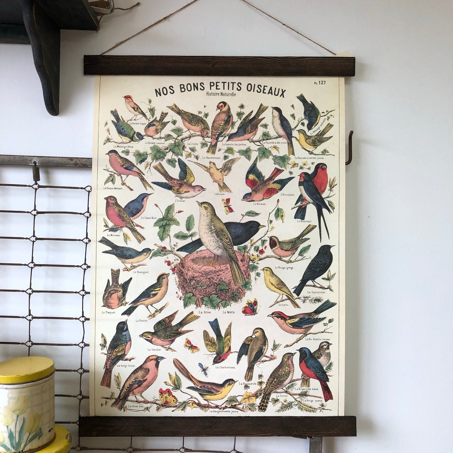 Bird Series Poster Wall Hanging