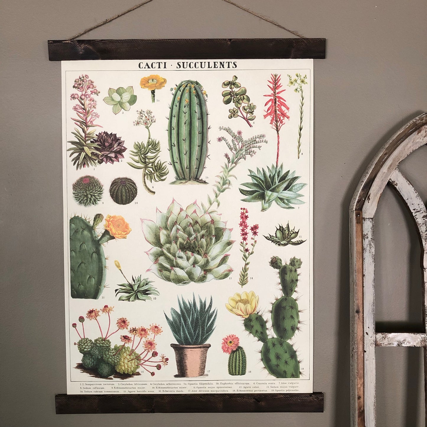 Cacti and Succulents Poster Wall Hanging