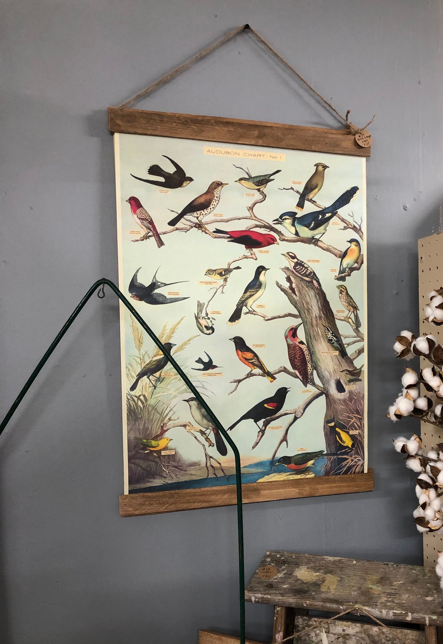 Audobon Bird Poster