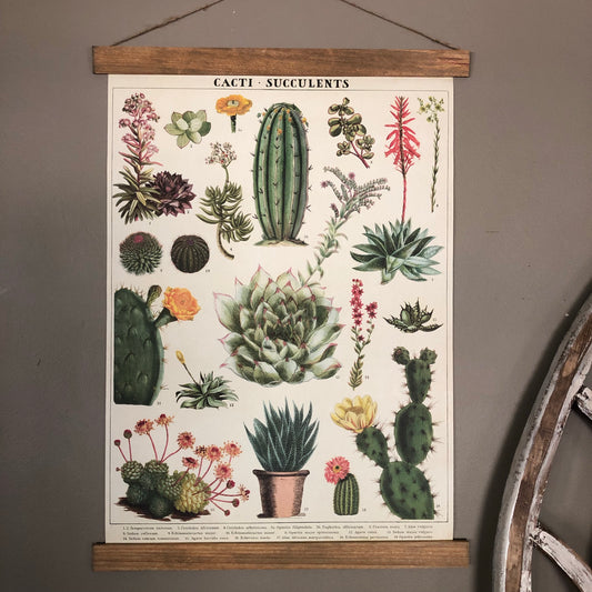 Cacti and Succulents Poster Wall Hanging