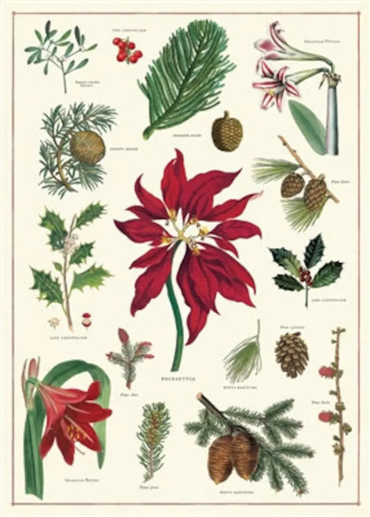 Poinsettia Hanger