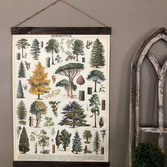 Tree Species Poster Wall Hanging