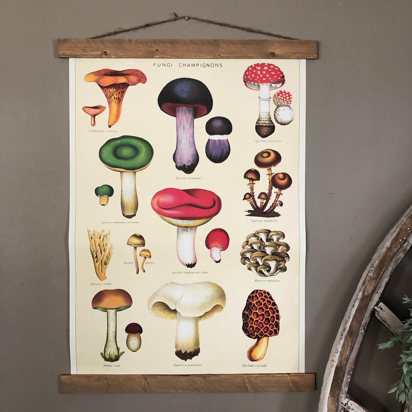 Mushroom Poster Wall Hanging