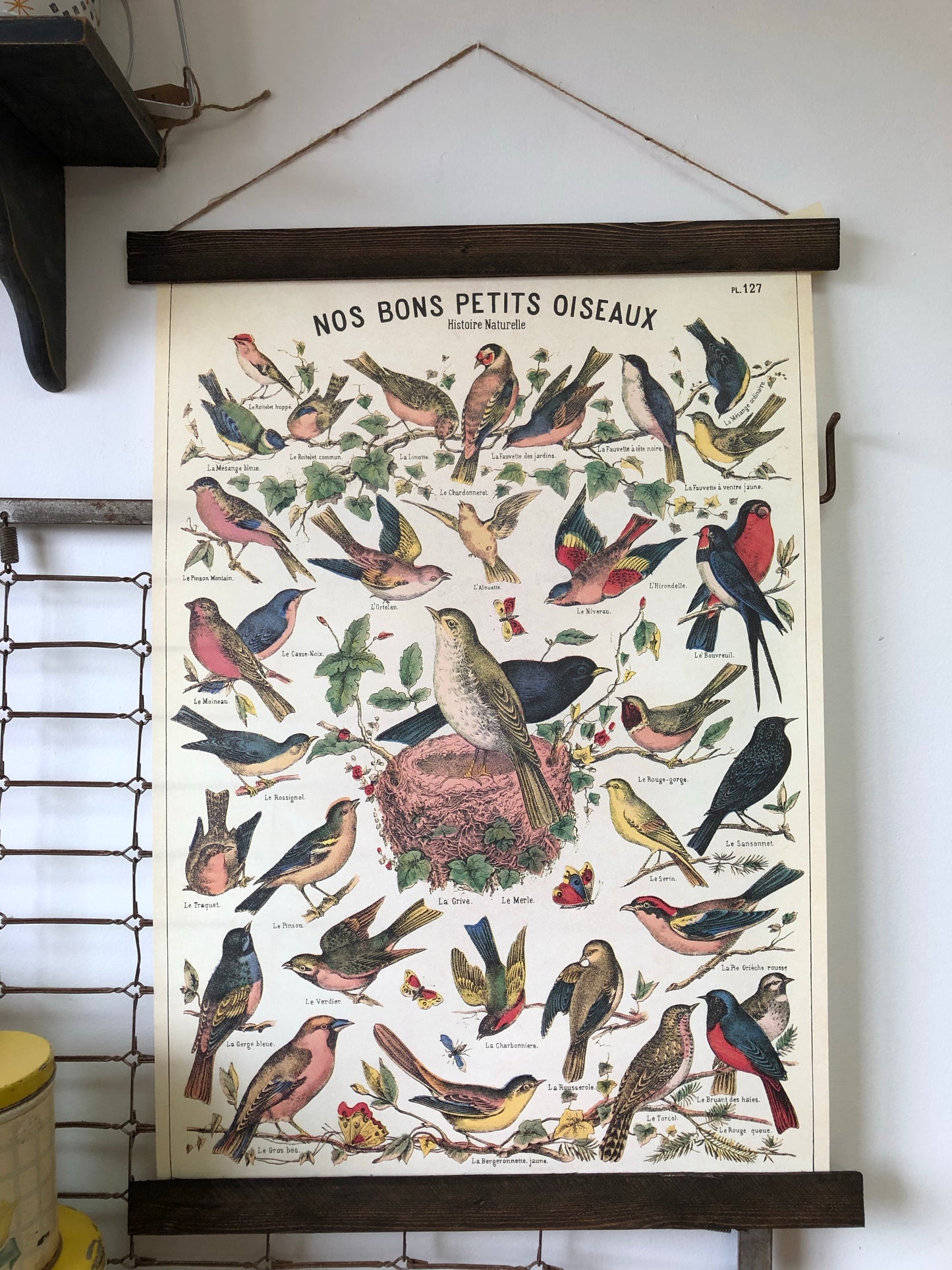 Bird Series Poster Wall Hanging