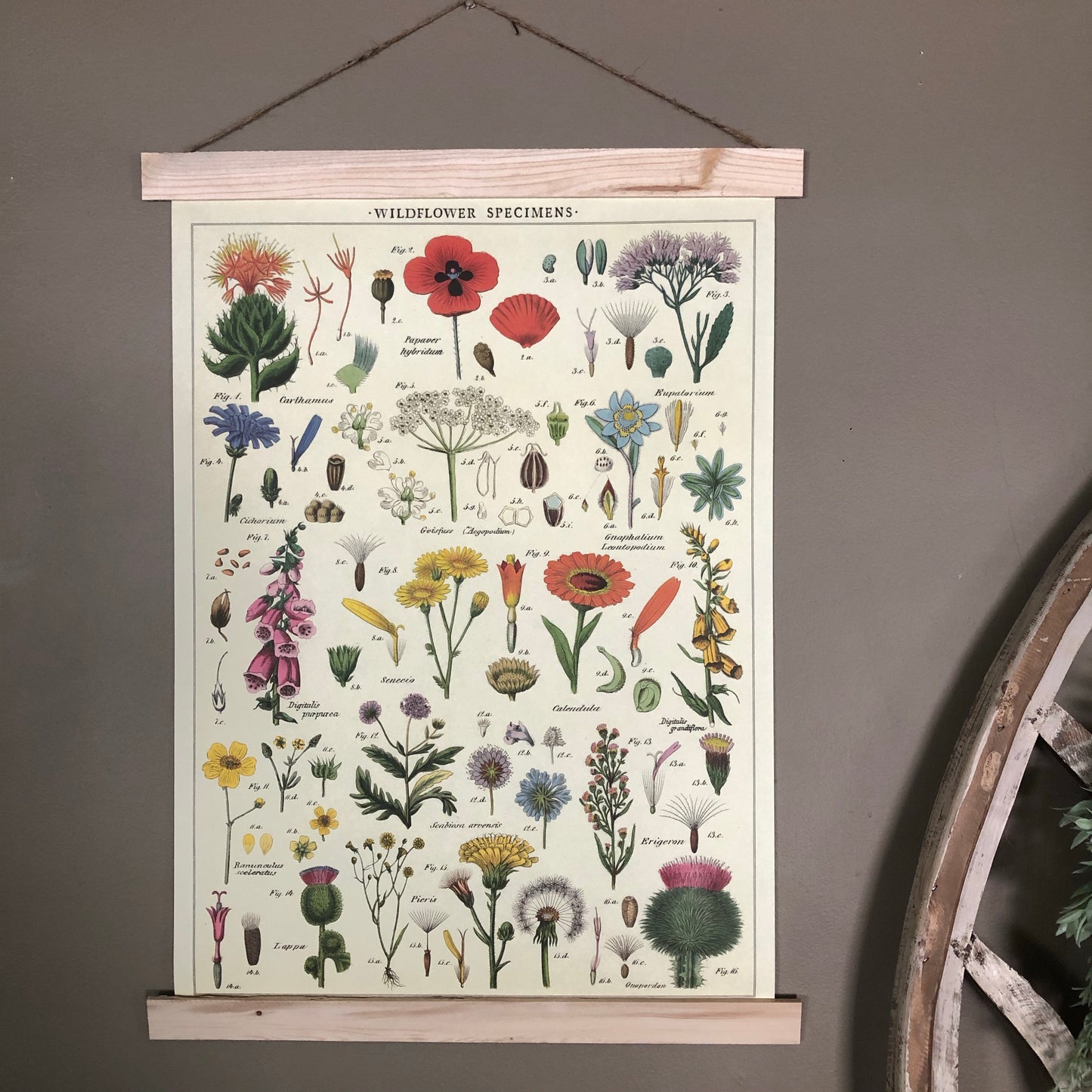 Wildflowers Poster Wall Hanging