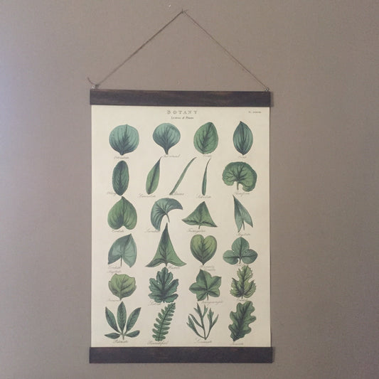 Wild Animals Poster Wall Hanging