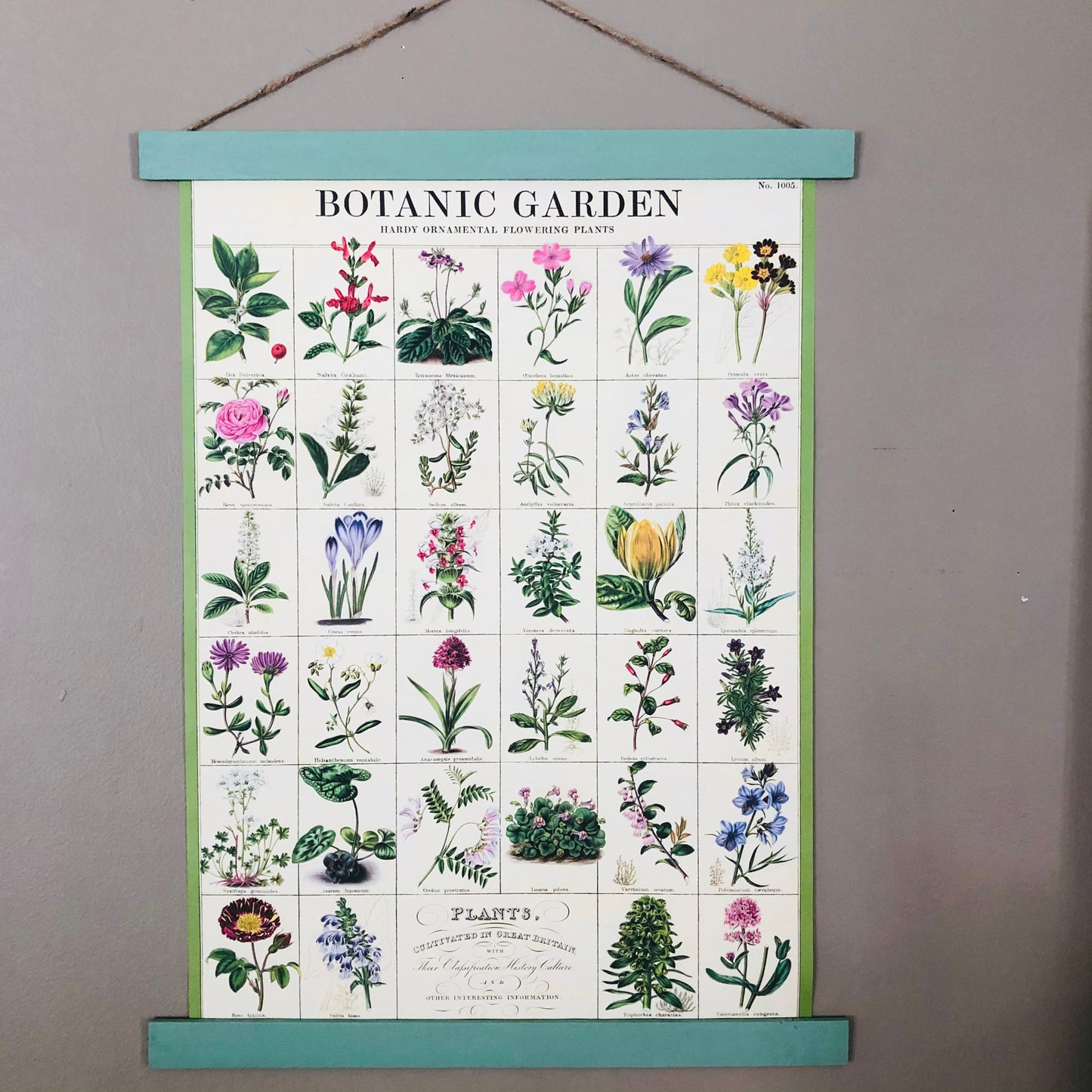 Botanic Garden Poster