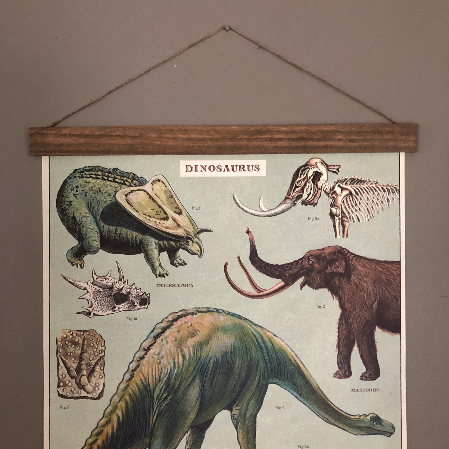 Dinosaur Poster Wall Hanging