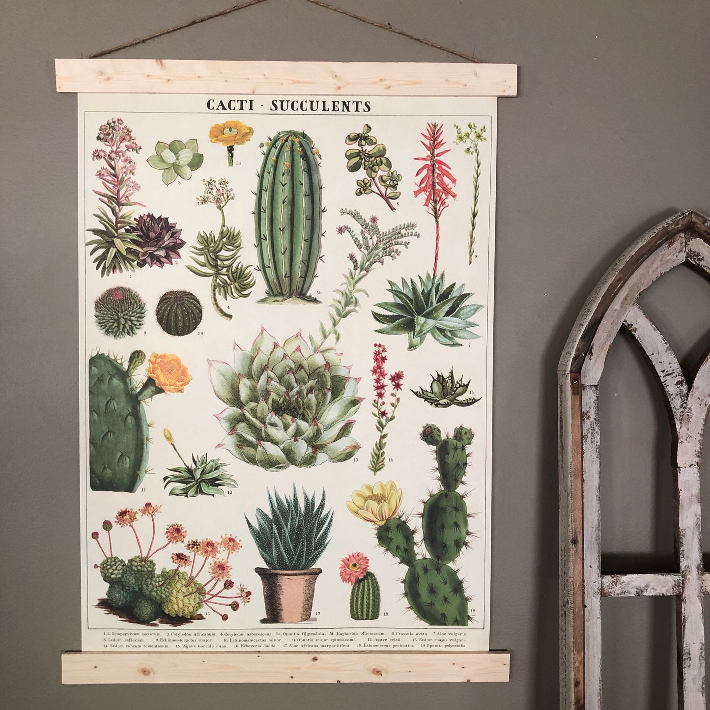 Cacti and Succulents Poster Wall Hanging