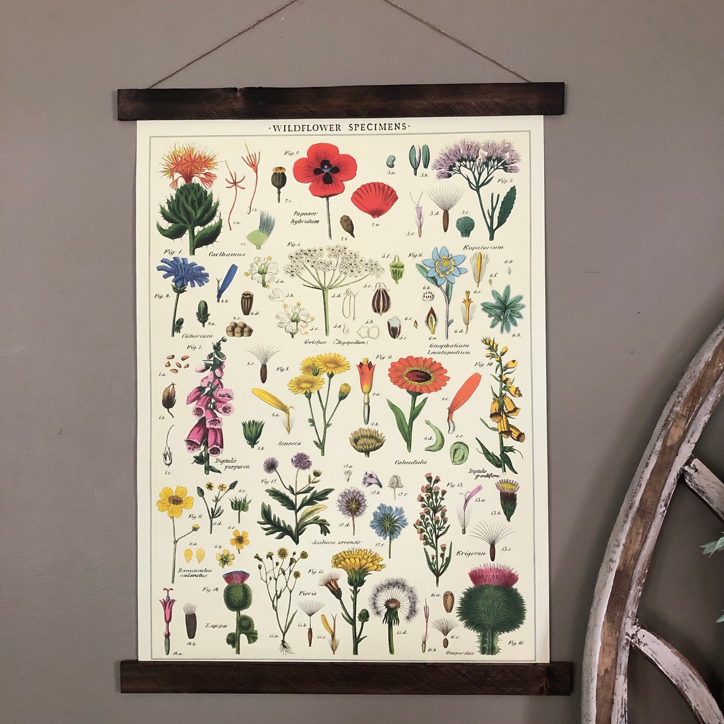 Wildflowers Poster Wall Hanging