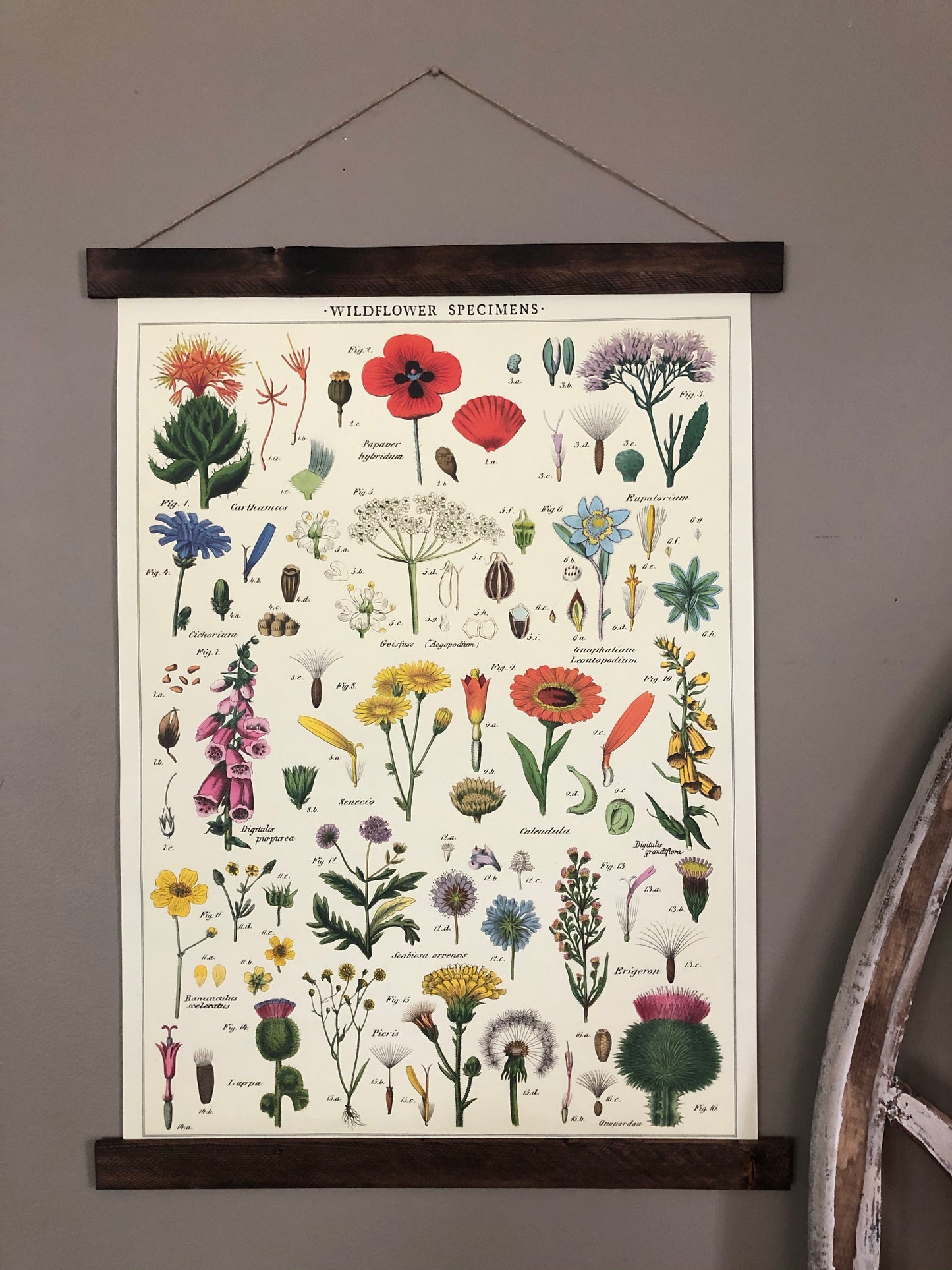 Wildflowers Poster Wall Hanging