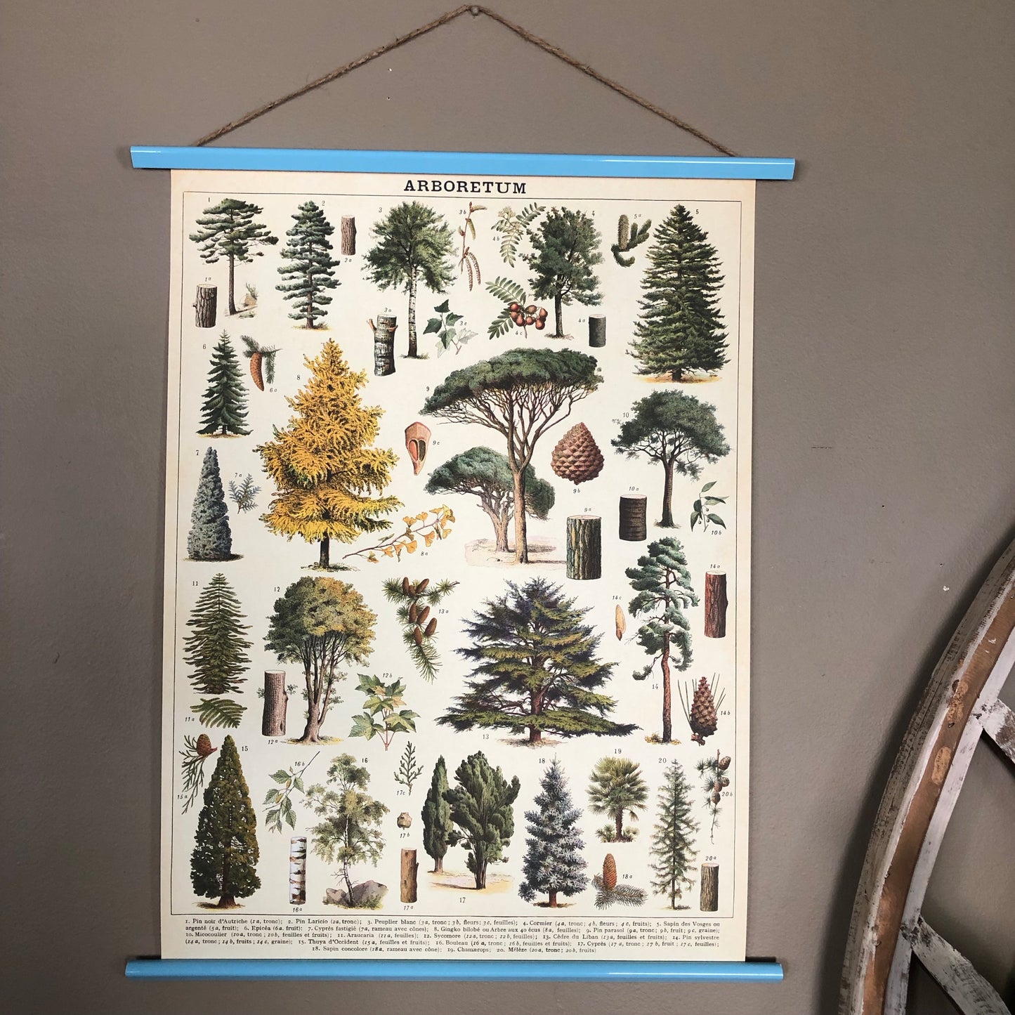 Wood Hanger