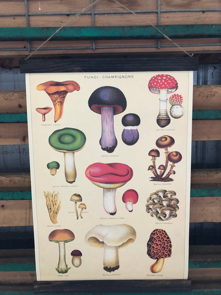 Mushroom Poster Wall Hanging