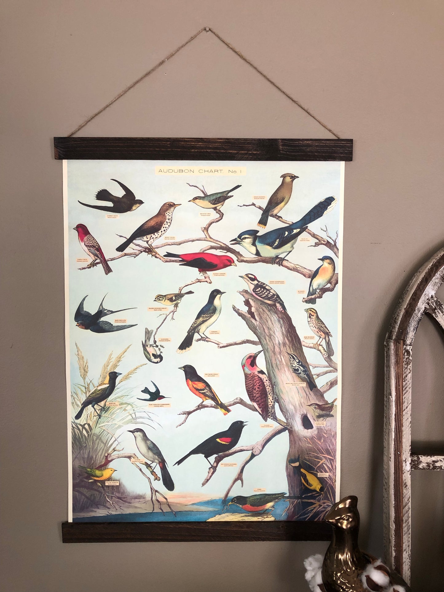 Audobon Bird Poster