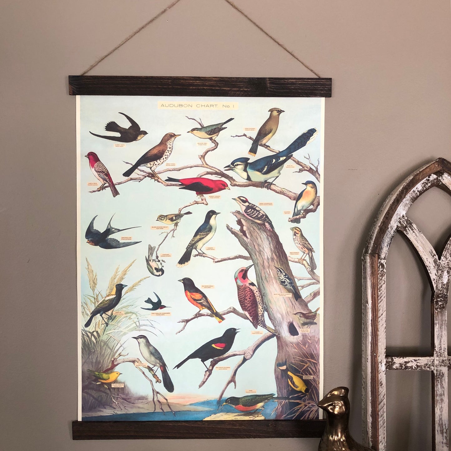 Audobon Bird Poster