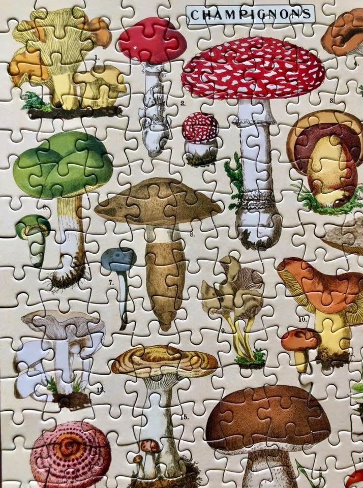 Mini Puzzles Collection